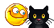 black_cat.gif