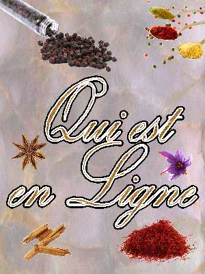 Qui est en ligne ?