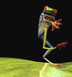 grenouille602-copie-1.jpg