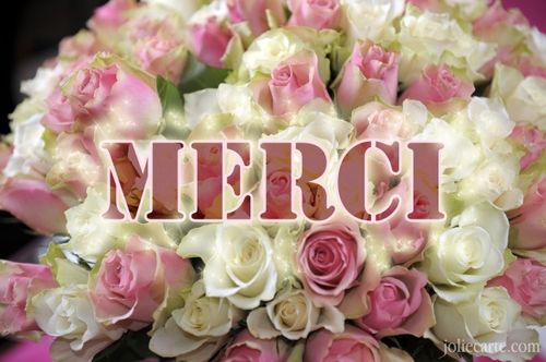 لمحبي تعلم اللغة الألمانية Merci_rose