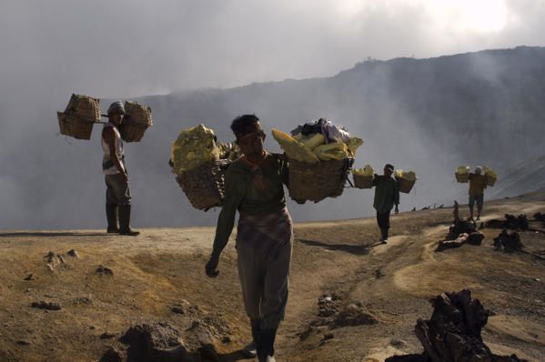 Indonésie : 500 000 hectares replantés pour 26% de réduction de CO2